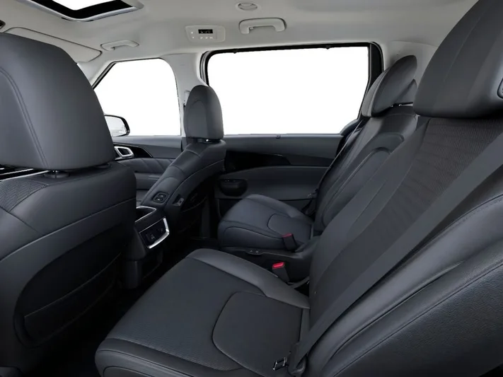2026 Kia Carnival - view 18