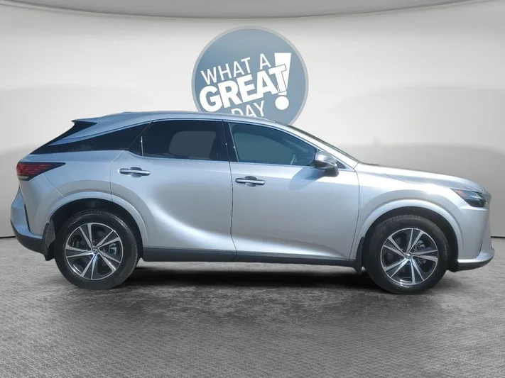 2023 Lexus RX - view 2