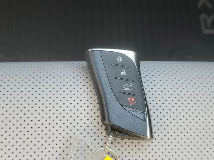 2023 Lexus RX - view 32