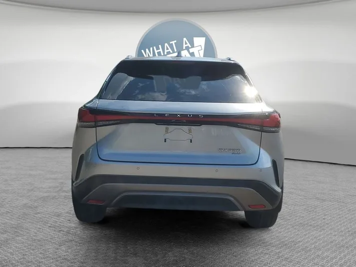 2023 Lexus RX - view 5