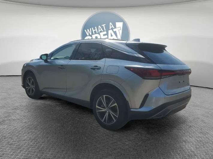 2023 Lexus RX - view 6