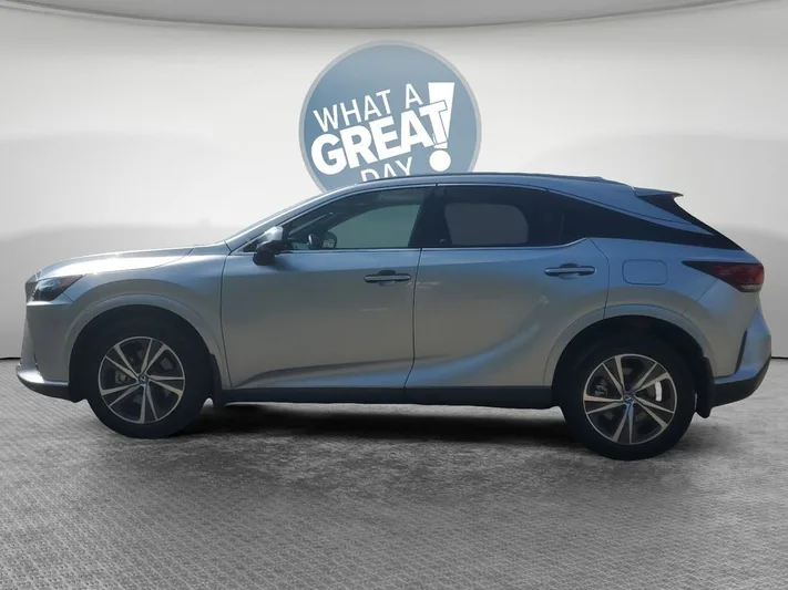 2023 Lexus RX - view 7