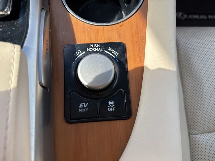 2017 Lexus RX - view 20