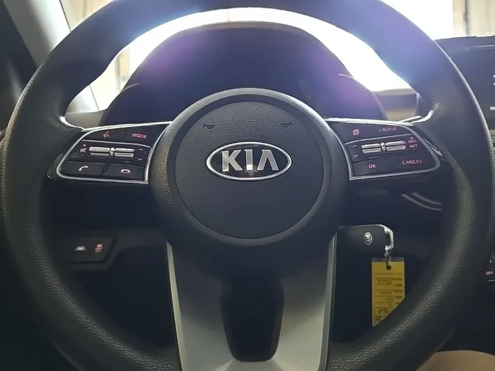 2019 Kia Forte - view 14