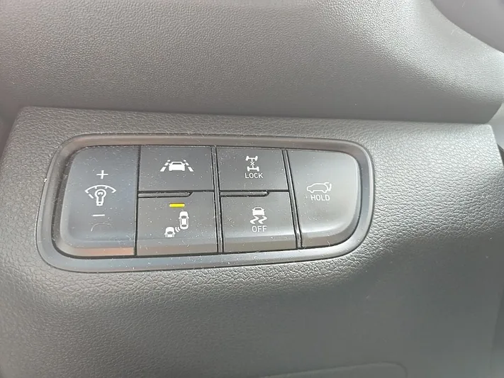 2020 Hyundai Santa - view 14