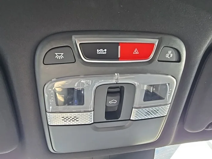 2024 Kia Telluride - view 12