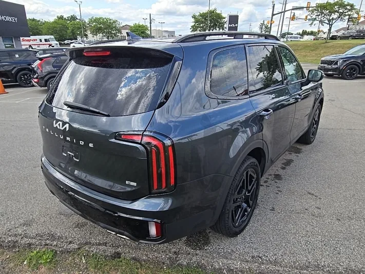 2024 Kia Telluride - view 29