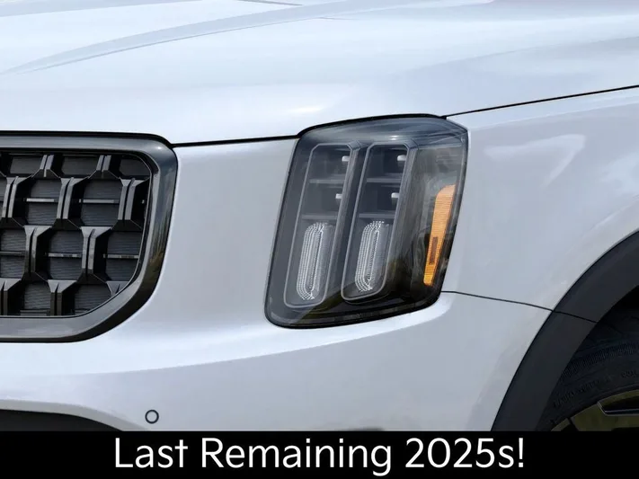 2025 Kia Telluride - view 10
