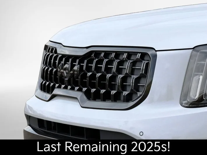 2025 Kia Telluride - view 12