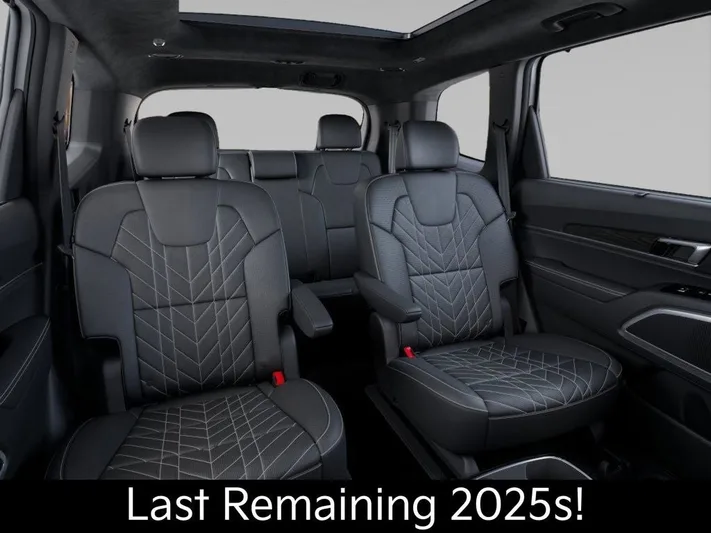 2025 Kia Telluride - view 16
