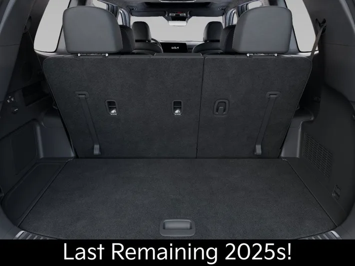 2025 Kia Telluride - view 19