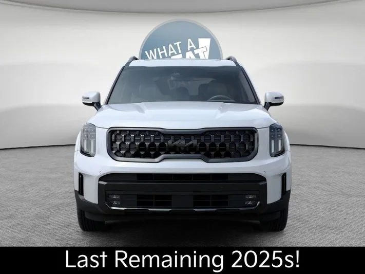 2025 Kia Telluride - view 2