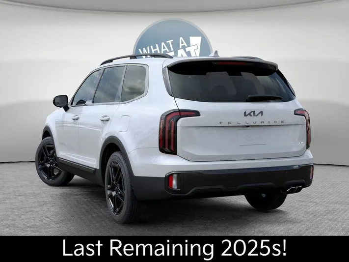 2025 Kia Telluride - view 4