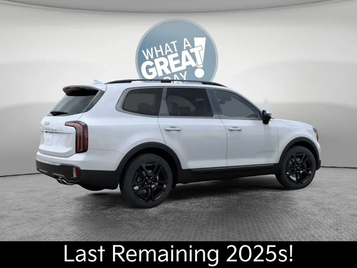2025 Kia Telluride - view 6