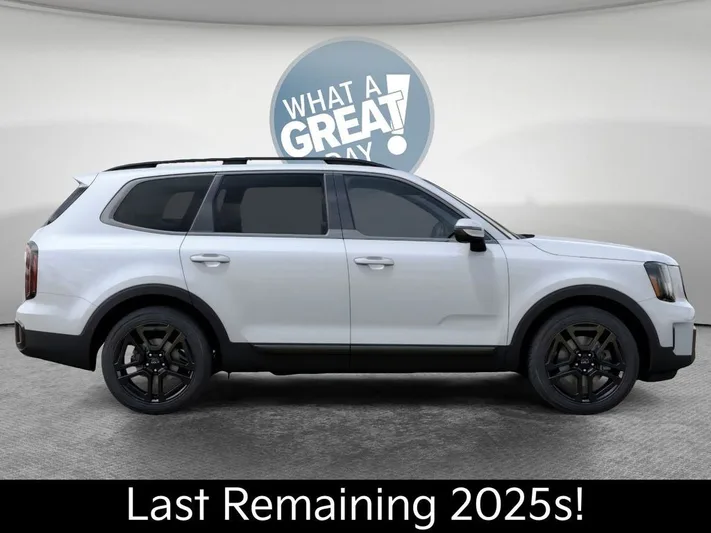 2025 Kia Telluride - view 7