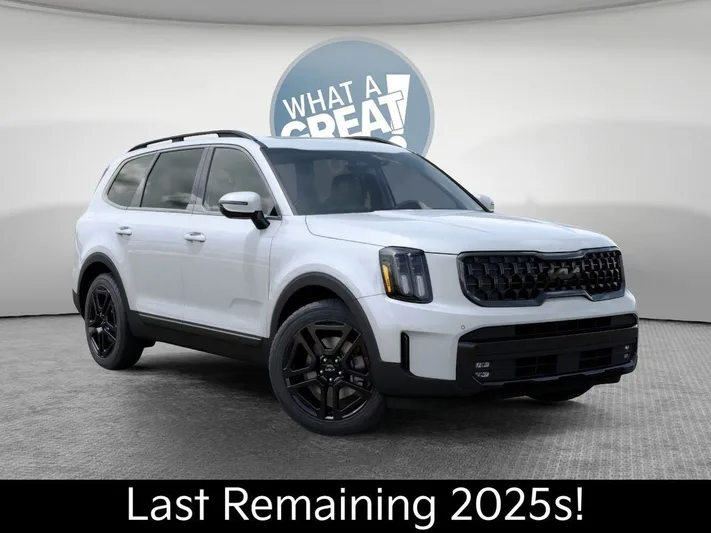 2025 Kia Telluride - view 8