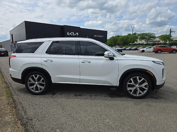 2021 Hyundai Palisade - view 2