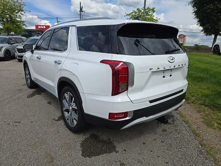 2021 Hyundai Palisade - view 6
