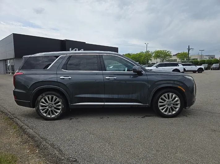 2020 Hyundai Palisade - view 2
