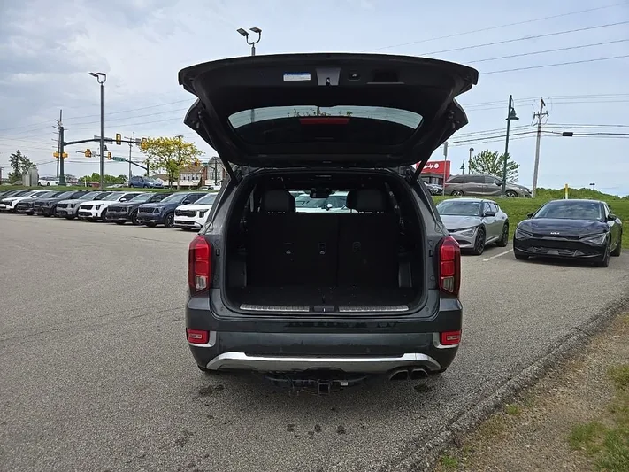 2020 Hyundai Palisade - view 5