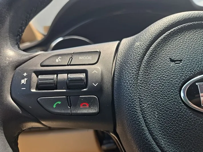 2018 Kia Sedona - view 15