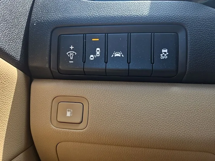 2018 Kia Sedona - view 20