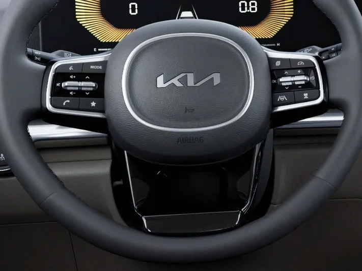 2026 Kia Carnival - view 22