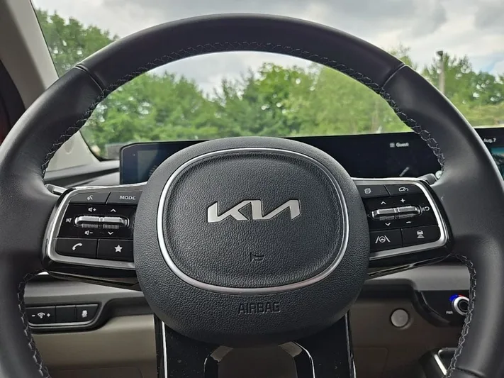 2026 Kia Carnival - view 14