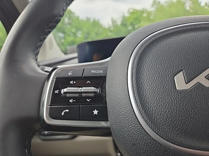 2026 Kia Carnival - view 15