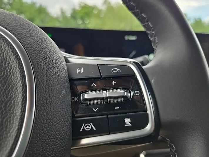 2026 Kia Carnival - view 17