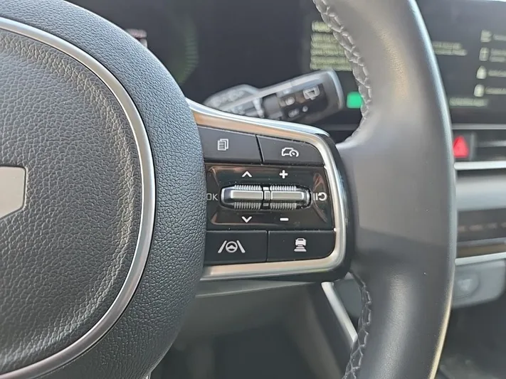 2025 Kia Carnival - view 14