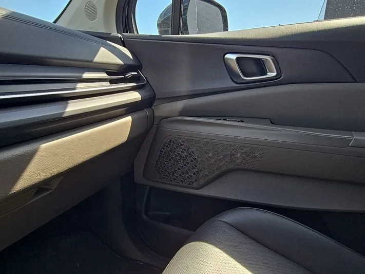 2025 Kia Carnival - view 25