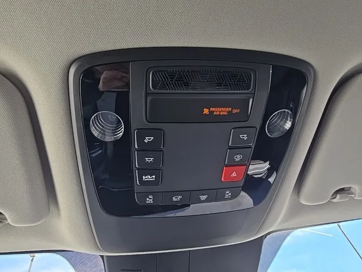 2025 Kia Carnival - view 26