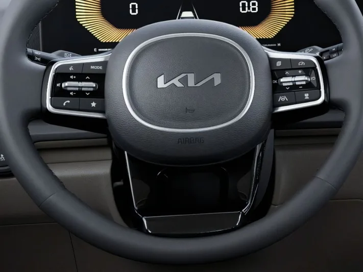 2026 Kia Carnival - view 22