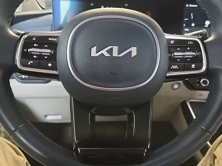 2025 Kia Carnival - view 14