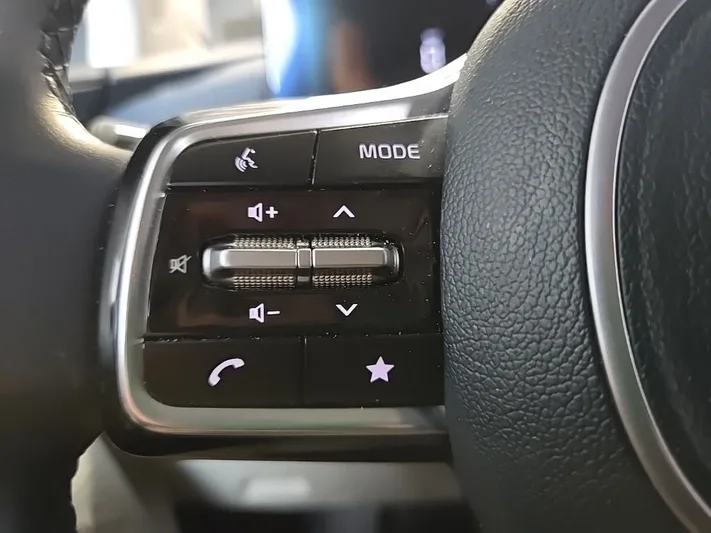 2025 Kia Carnival - view 15