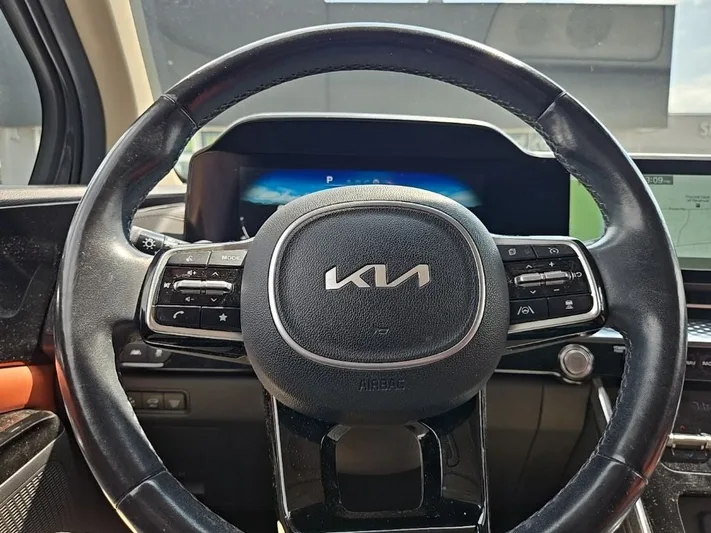 2022 Kia Carnival - view 13