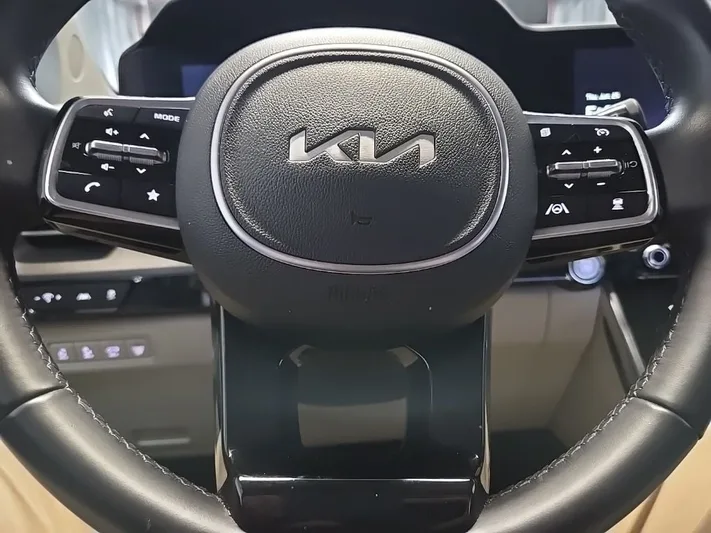 2024 Kia Carnival - view 14