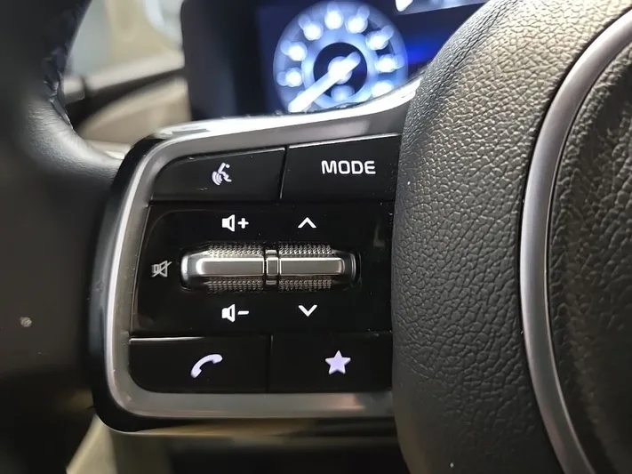 2024 Kia Carnival - view 15