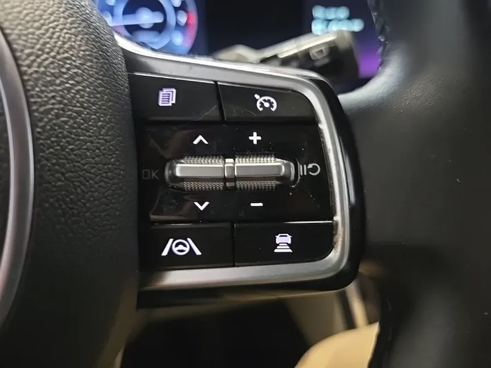 2024 Kia Carnival - view 17