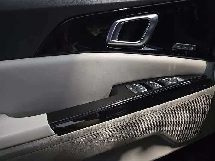 2024 Kia Carnival - view 18