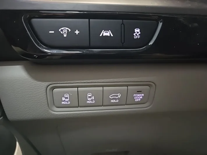 2024 Kia Carnival - view 19