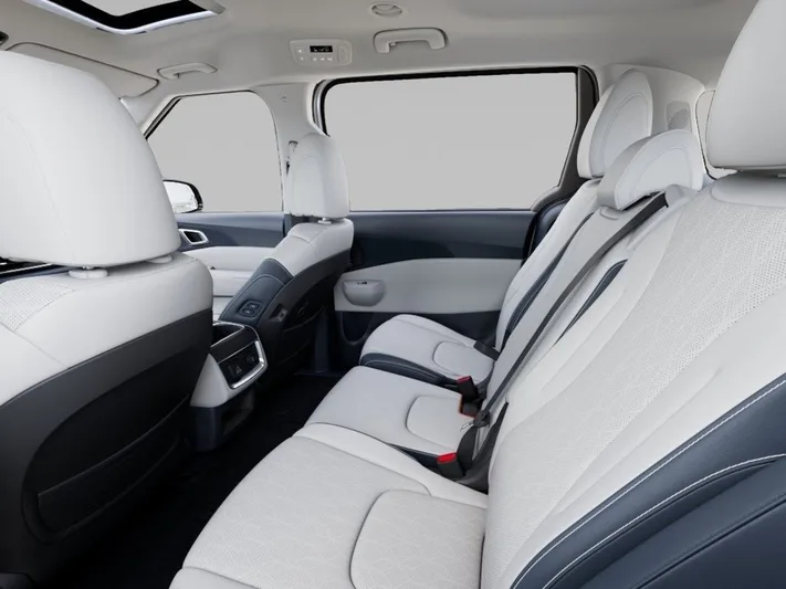 2026 Kia Carnival - view 18