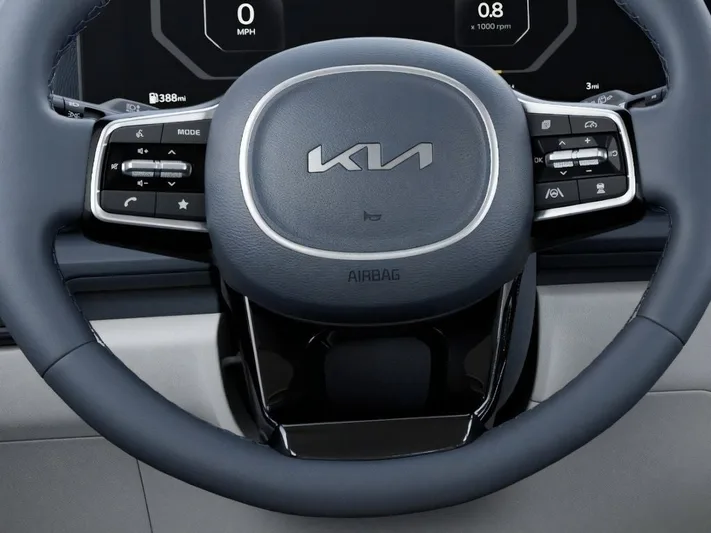 2026 Kia Carnival - view 22