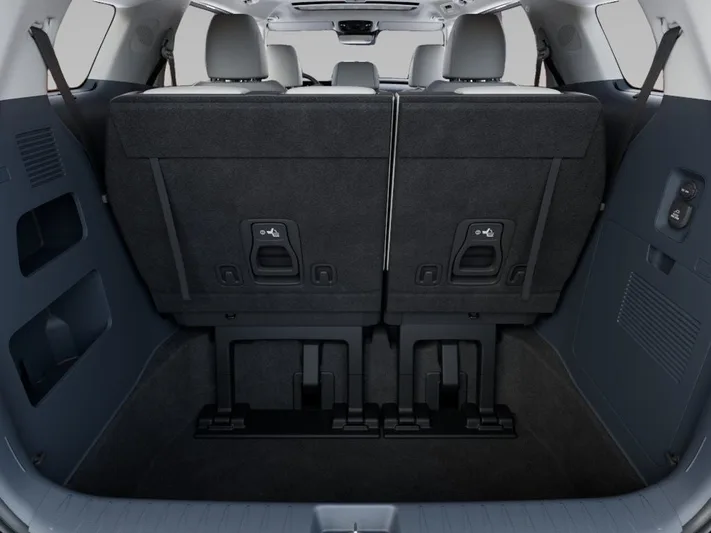 2026 Kia Carnival - view 19