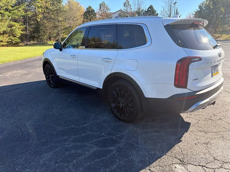 2020 Kia Telluride SX, photo 5