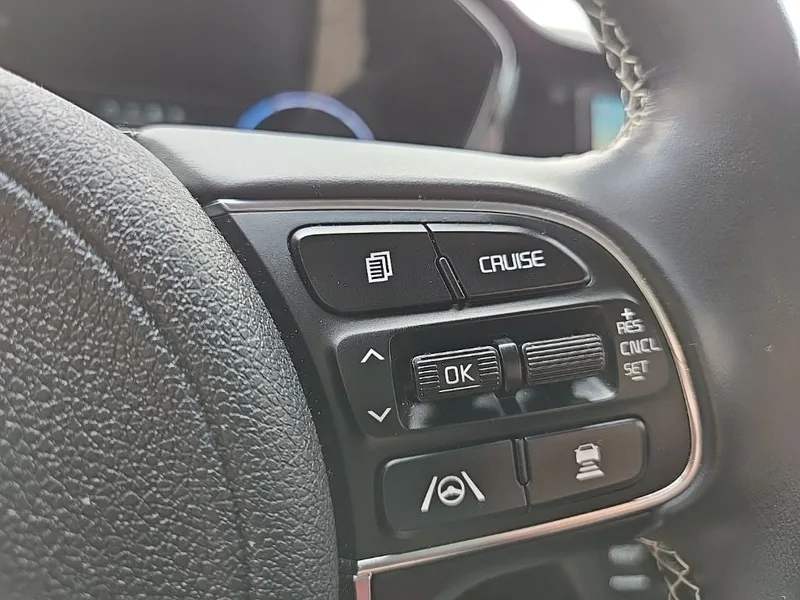 2022 Kia Niro EV EX, photo 14